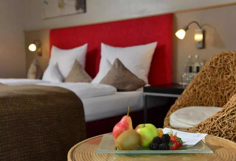 Premium Room, Parkhotel Weiskirchen