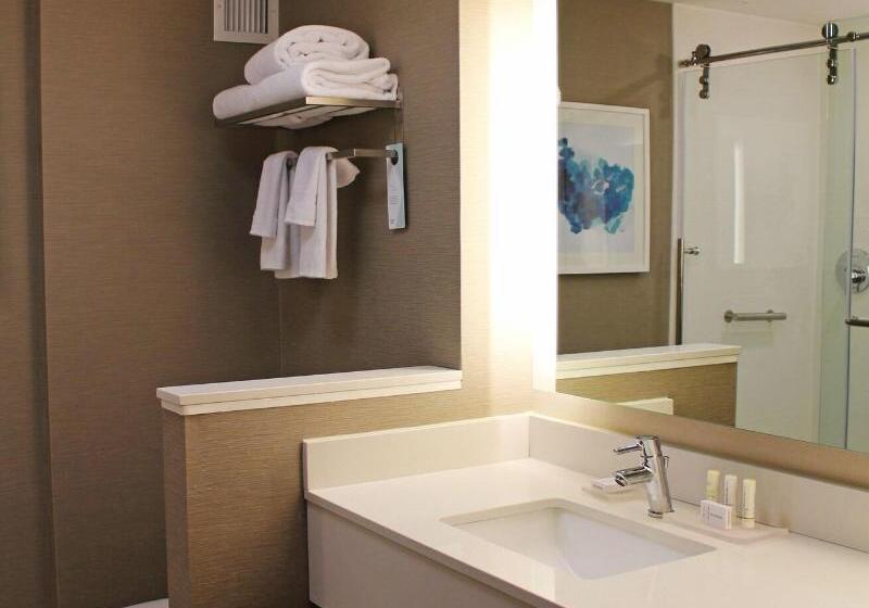 身障者適用スタンダードルーム, Ramada By Wyndham Temple Terrace/tampa North