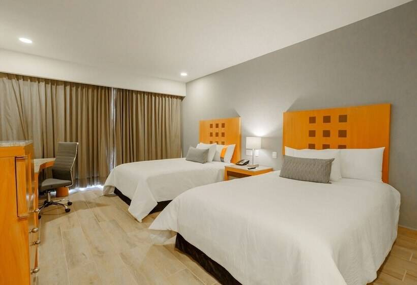 デラックスルーム, Real Inn Torreón