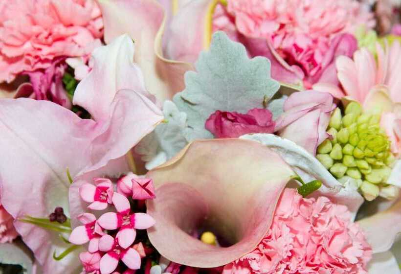 스탠다드 스튜디오, Horizons Lake Jindabyne