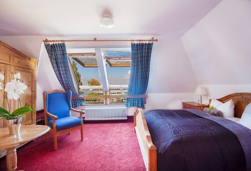 Полулюкс Вид на Озеро, Schiff Am See