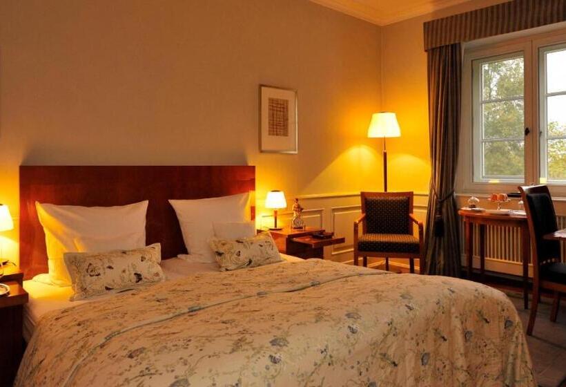 غرفة قياسية فردية, Schlosshotel Burg Schlitz