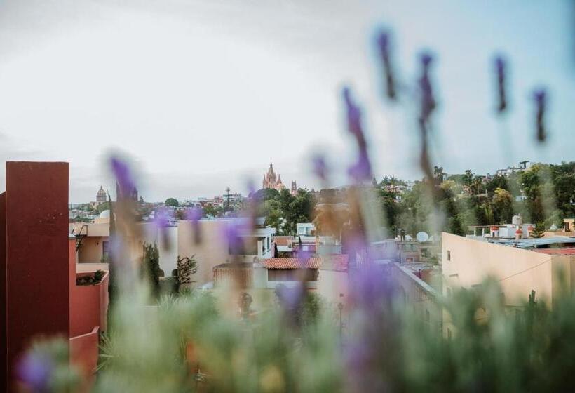 Suite with Terrace, El Golpe De Vista