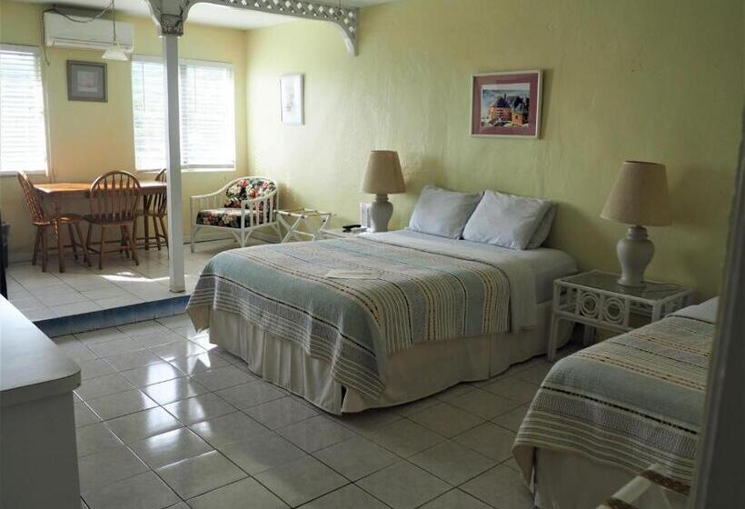 اتاق استاندارد, The Green Iguana