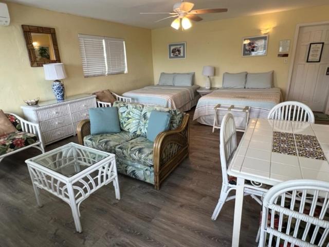 اتاق خانوادگی, The Green Iguana