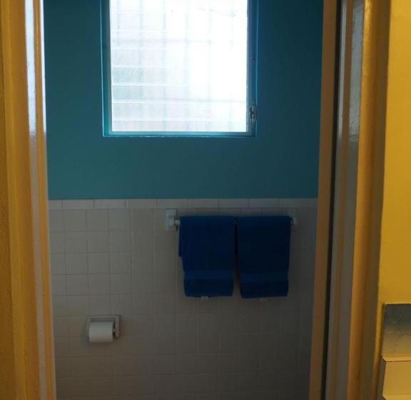 اتاق لوکس, The Green Iguana