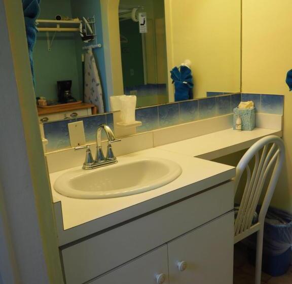 اتاق لوکس, The Green Iguana