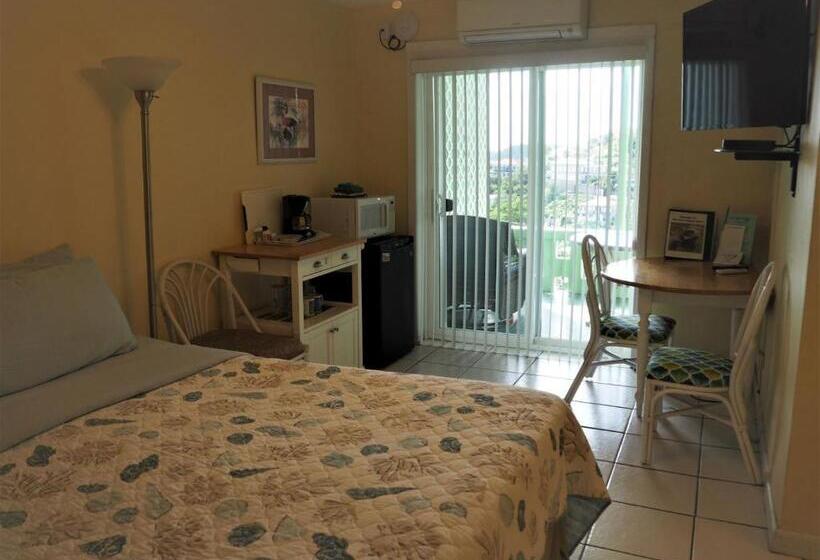 اتاق استاندارد با تخت بزرگ, The Green Iguana