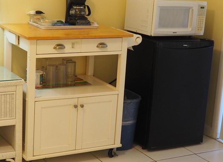 اتاق استاندارد با تخت بزرگ, The Green Iguana