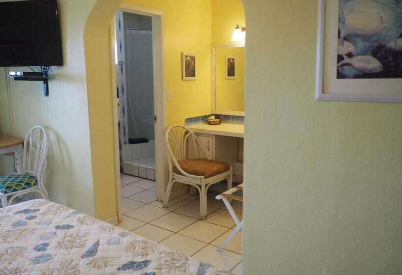 اتاق استاندارد با تخت بزرگ, The Green Iguana