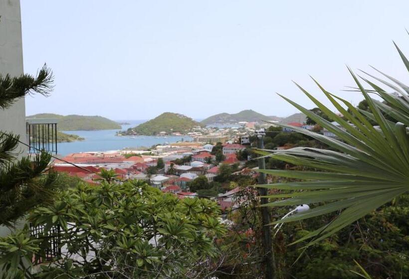 اتاق استاندارد با تخت بزرگ, The Green Iguana