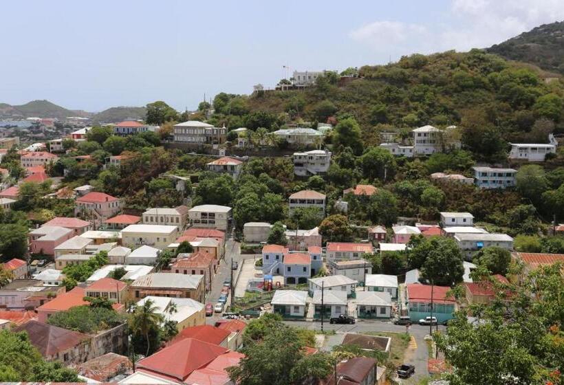 اتاق استاندارد با چشم‌انداز دریا, The Green Iguana