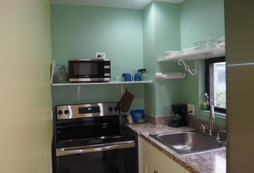 اتاق استاندارد با چشم‌انداز دریا, The Green Iguana