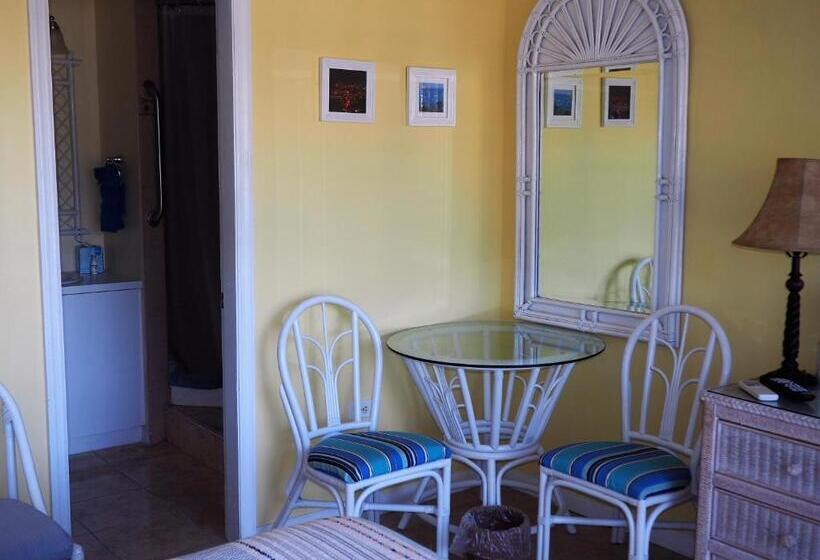 اتاق استاندارد با چشم‌انداز دریا, The Green Iguana