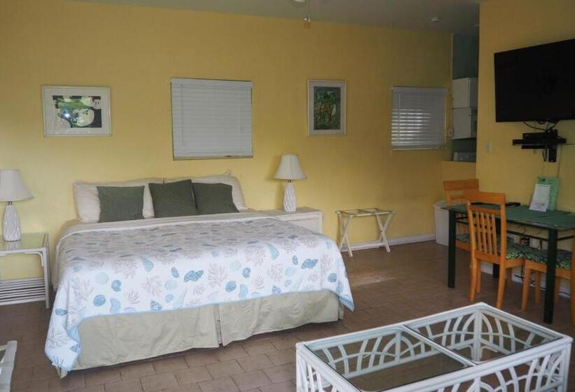 استودیو استاندارد با تخت کینگ, The Green Iguana