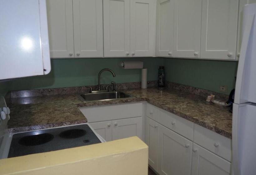 استودیو استاندارد با تخت کینگ, The Green Iguana