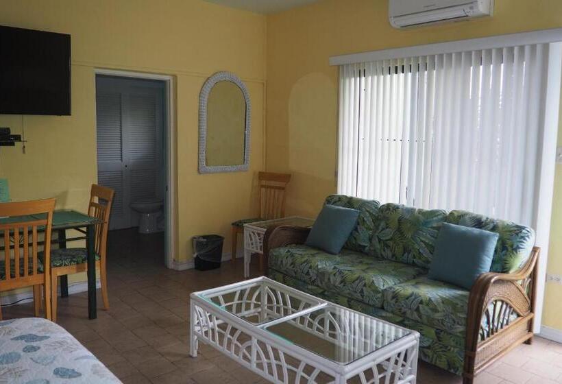 استودیو استاندارد با تخت کینگ, The Green Iguana