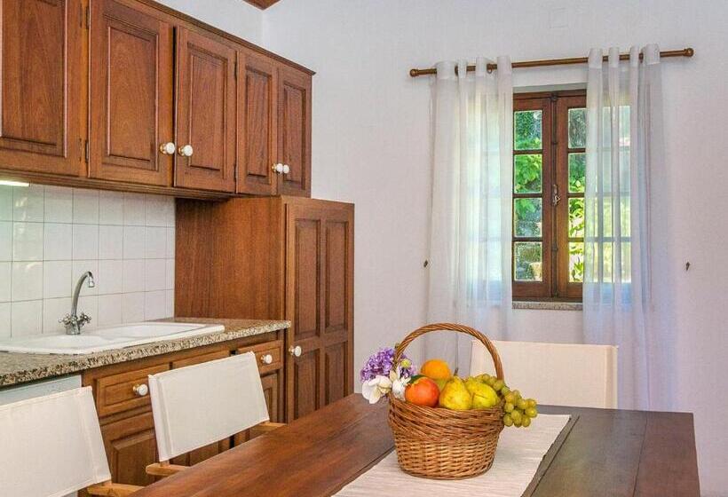 منزل 3 غرف نوم, Casas De Massinos