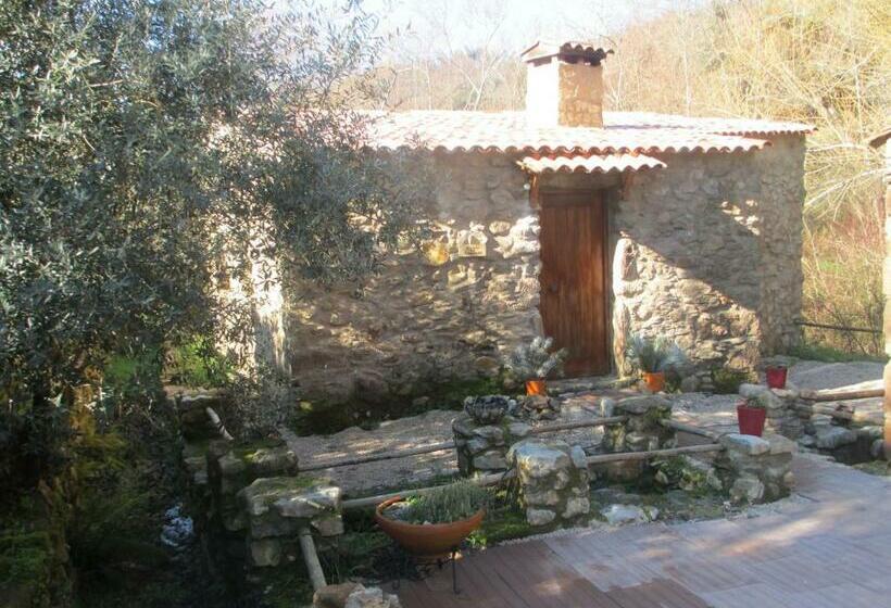 غرفة عائلية, Sete Quintas