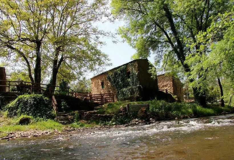 ファミリールーム, Sete Quintas