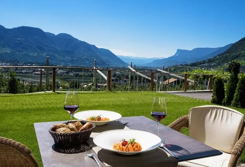バルコニー付き１ベッドルームアパートメント, Panorama Residence öhlerhof
