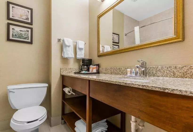キングサイズベッドのスタンダードルーム, Comfort Inn & Suites Mishawakasouth Bend