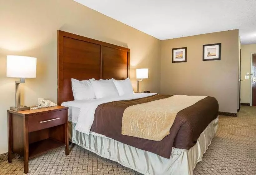 キングサイズベッドのスタンダードルーム, Comfort Inn & Suites Mishawakasouth Bend