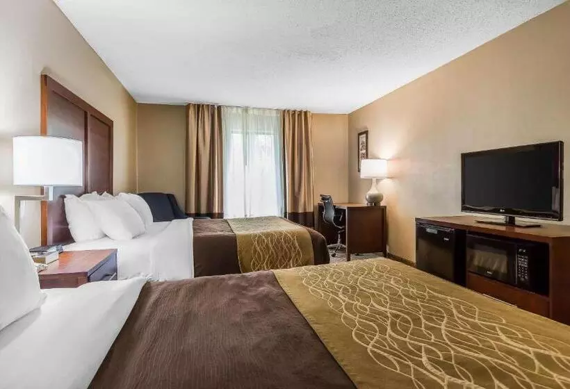 スタンダードルーム, Comfort Inn & Suites Mishawakasouth Bend