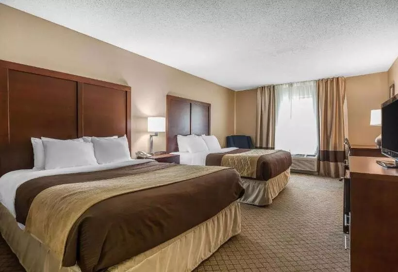 スタンダードルーム, Comfort Inn & Suites Mishawakasouth Bend
