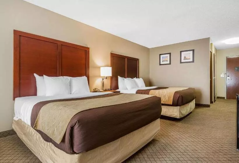 スタンダードルーム, Comfort Inn & Suites Mishawakasouth Bend