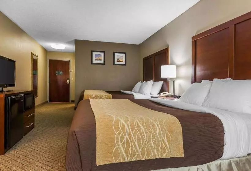 スタンダードルーム, Comfort Inn & Suites Mishawakasouth Bend
