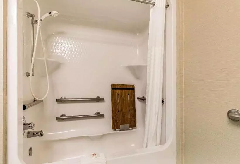 身障者適用キングサイズベッドルーム, Comfort Inn & Suites Mishawakasouth Bend