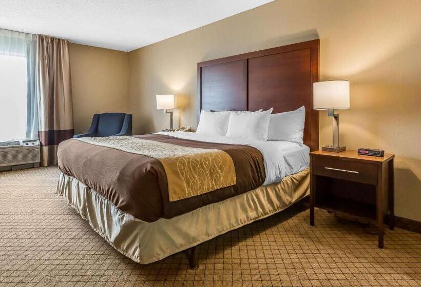 غرفة قياسية سرير كينج لذوى الإحتياجات الخاصة, Comfort Inn & Suites Mishawakasouth Bend
