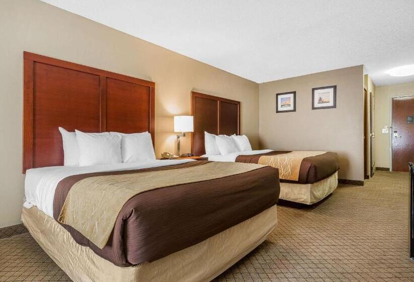 장애인을 위한 스탠다드 룸, Comfort Inn & Suites Mishawakasouth Bend