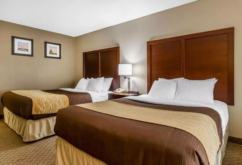 身障者適用スタンダードルーム, Comfort Inn & Suites Mishawakasouth Bend