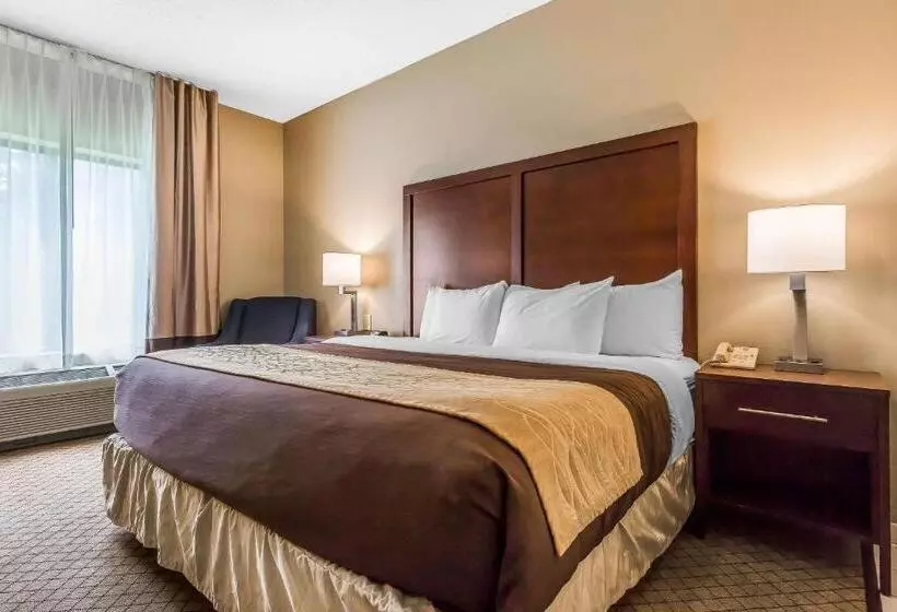 身障者適用キングサイズベッドルーム, Comfort Inn & Suites Mishawakasouth Bend