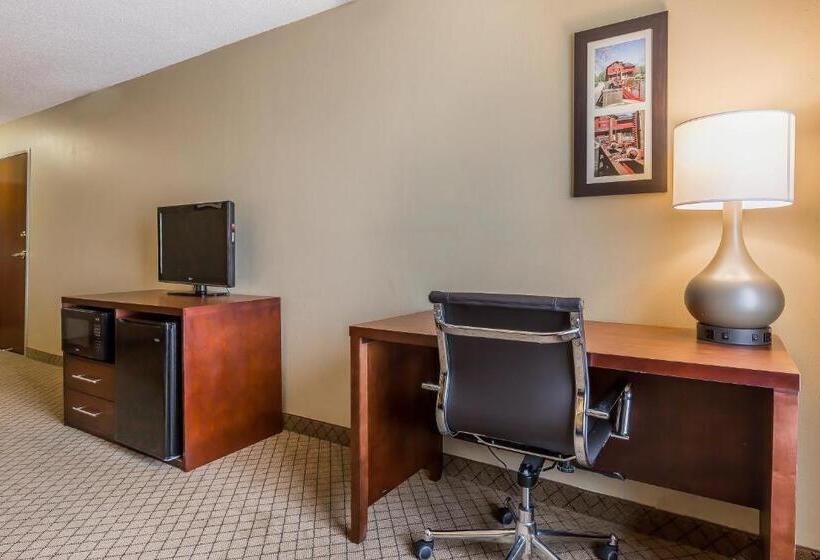 장애인을 위한 킹사이즈 침대 스탠다드 룸, Comfort Inn & Suites Mishawakasouth Bend