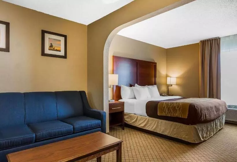 キングサイズベッドのスイートルーム, Comfort Inn & Suites Mishawakasouth Bend