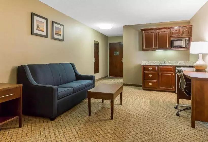 キングサイズベッドのスイートルーム, Comfort Inn & Suites Mishawakasouth Bend