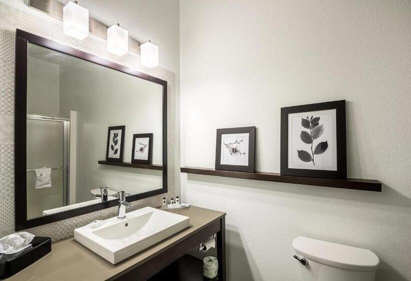 سوئیت با تخت بزرگ, Country Inn & Suites By Radisson, Fond Du Lac, Wi