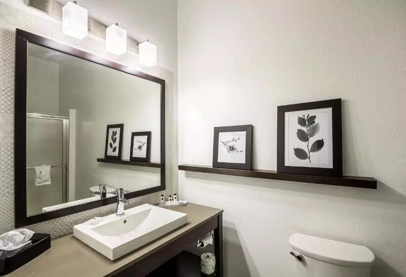 キングサイズベッドのスイートルーム, Country Inn & Suites By Radisson, Fond Du Lac, Wi