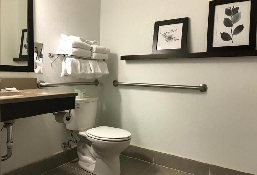 Номер Стандарт Адаптированный для Инвалидов, Country Inn & Suites By Radisson, Fond Du Lac, Wi