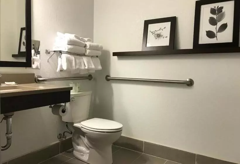 身障者適用スタンダードルーム, Country Inn & Suites By Radisson, Fond Du Lac, Wi