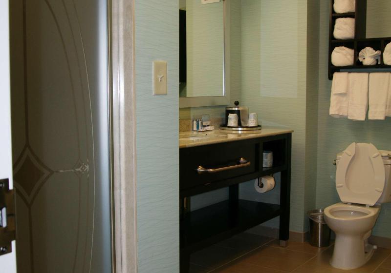 سوئیت با تخت بزرگ, Hampton Inn Shreveport Airport