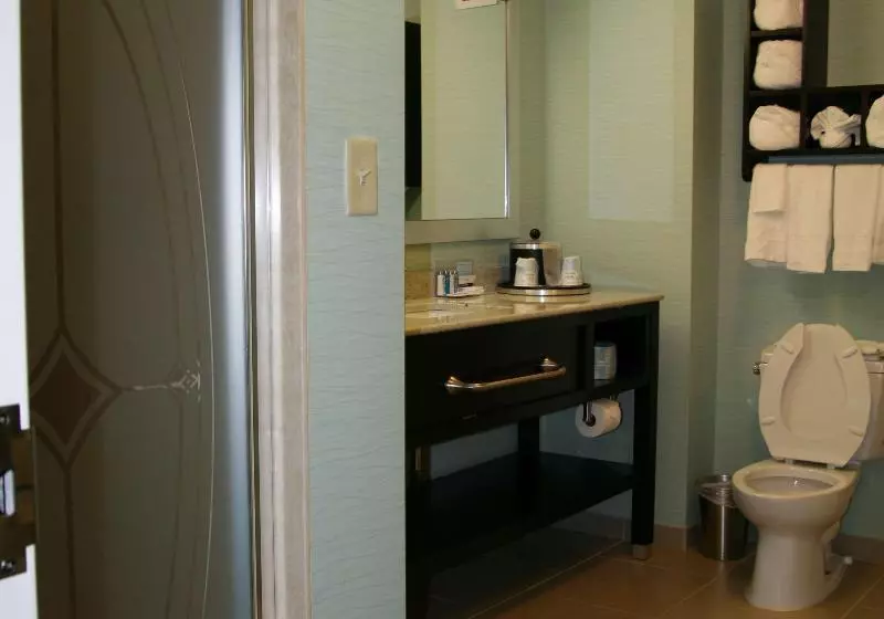 سوئیت با تخت بزرگ, Hampton Inn Shreveport Airport