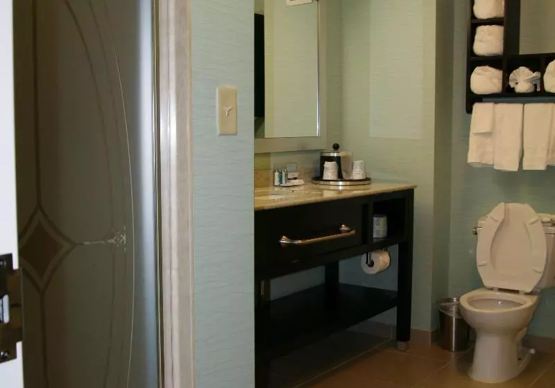 سوئیت با تخت بزرگ, Hampton Inn Shreveport Airport