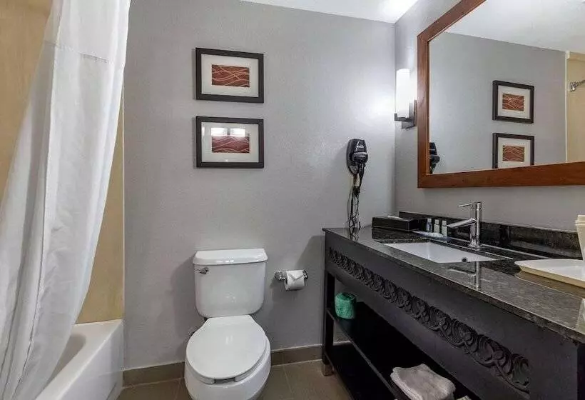 سوییت, Quality Inn & Suites I 35 E Walnut Hill