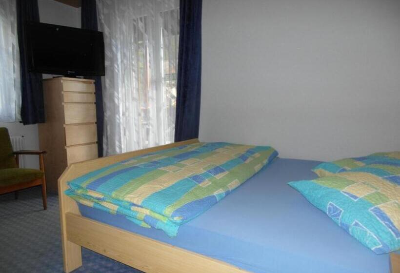 ダブルベッドのベーシックルーム, Walliserhof Leukerbad Therme