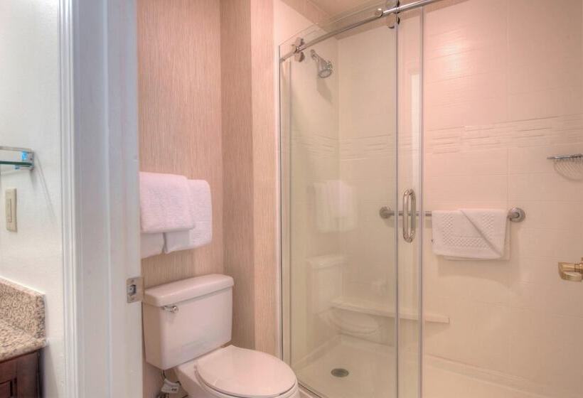带2个卧室的套房, Residence Inn Charlotte Uptown