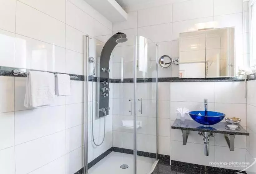 اتاق سوپریور, Turmhotel Victoria Davos